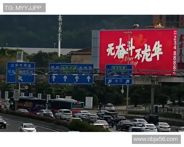 深圳乒乓球队的奋斗与荣耀：精英赛背后的故事与突破历程