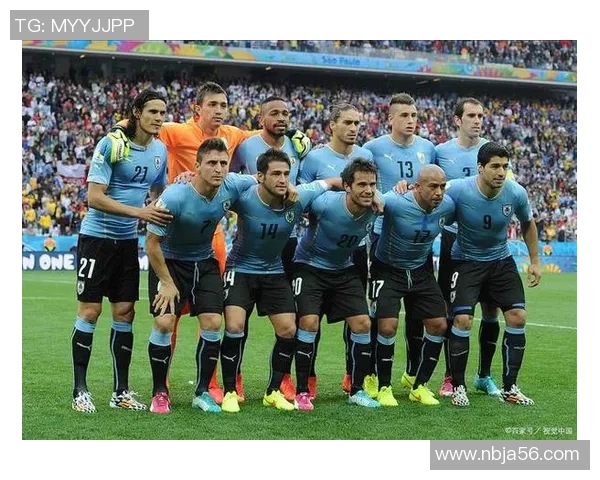 法国足球明星的妻子们她们的魅力与风采揭秘